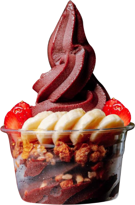 Acai/ Fro-Yo Bowl